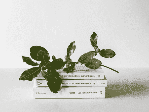 短信轰炸机在线网页版