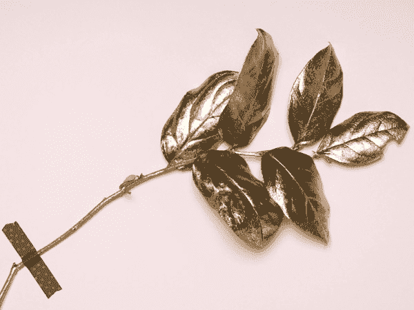 一秒发1000条电话的软件